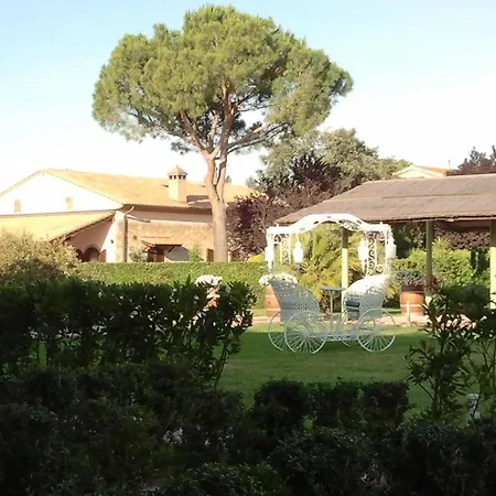 Cannavota Follonica