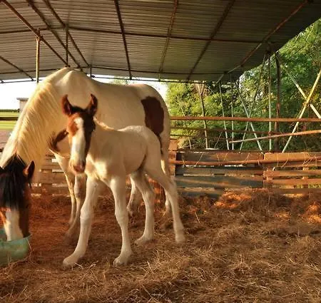 Séjour à la ferme Cannavota